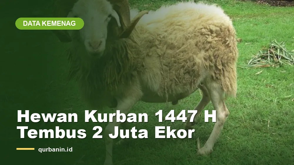 Kemenag: Hewan Kurban Iduladha 1447 H Tembus 2 Juta Ekor
