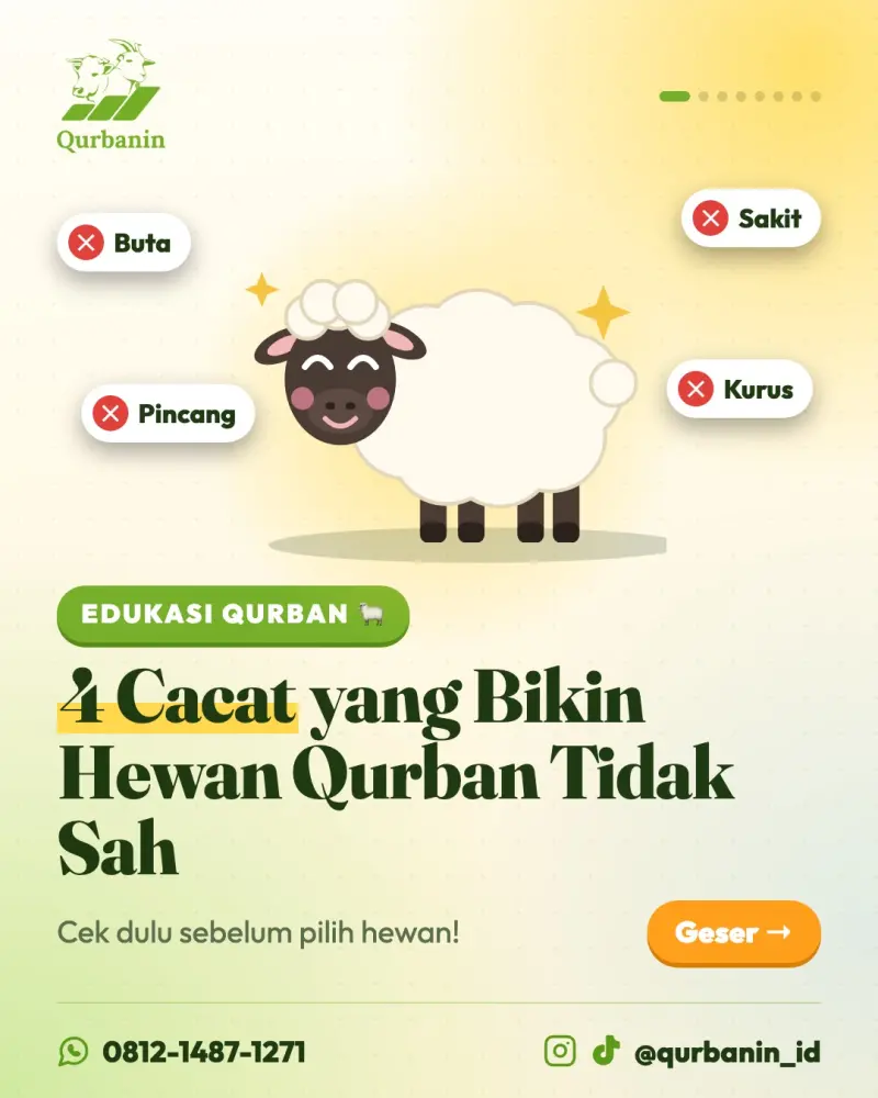 Sebelum Beli Hewan Qurban, Pahami Dulu Syarat Umur dan Ciri Hewan yang Sah