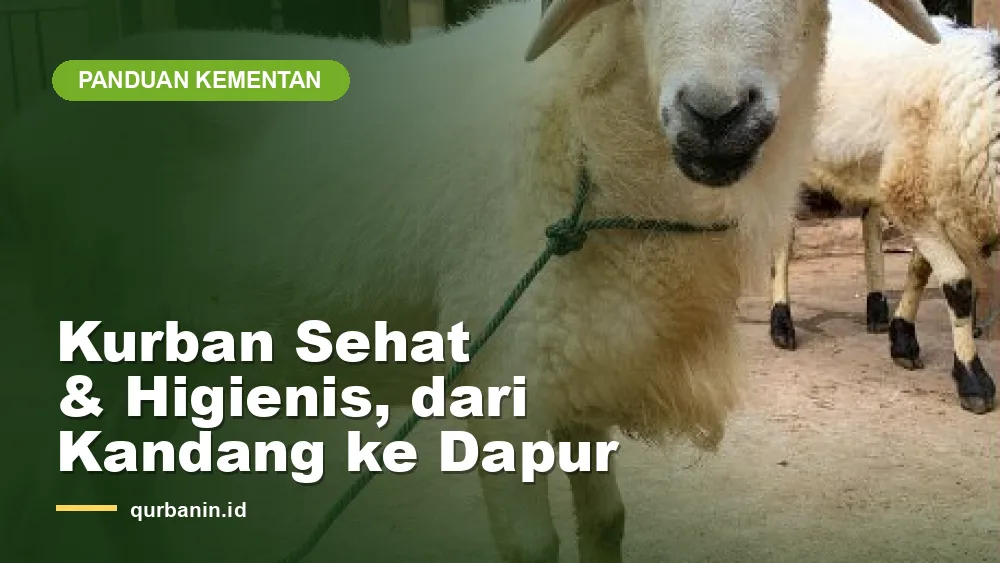 Panduan Kurban Sehat dan Higienis dari Kementan