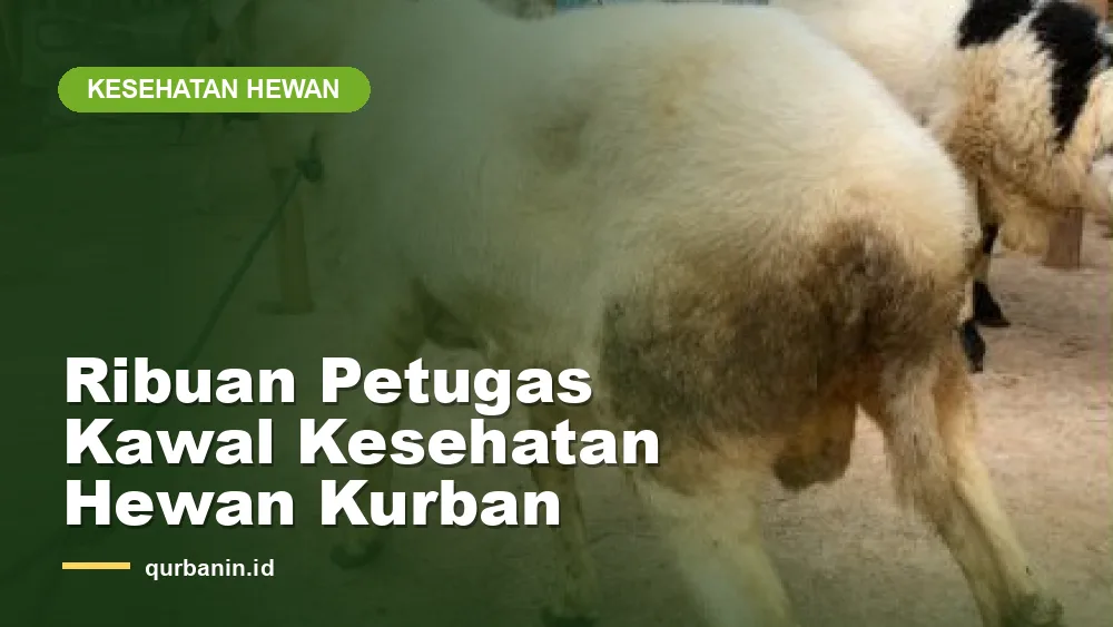 Ribuan Petugas Kawal Kesehatan Hewan Kurban Iduladha 2026