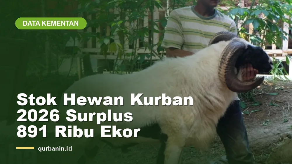 Kementan: Stok Hewan Kurban 2026 Surplus 891 Ribu Ekor