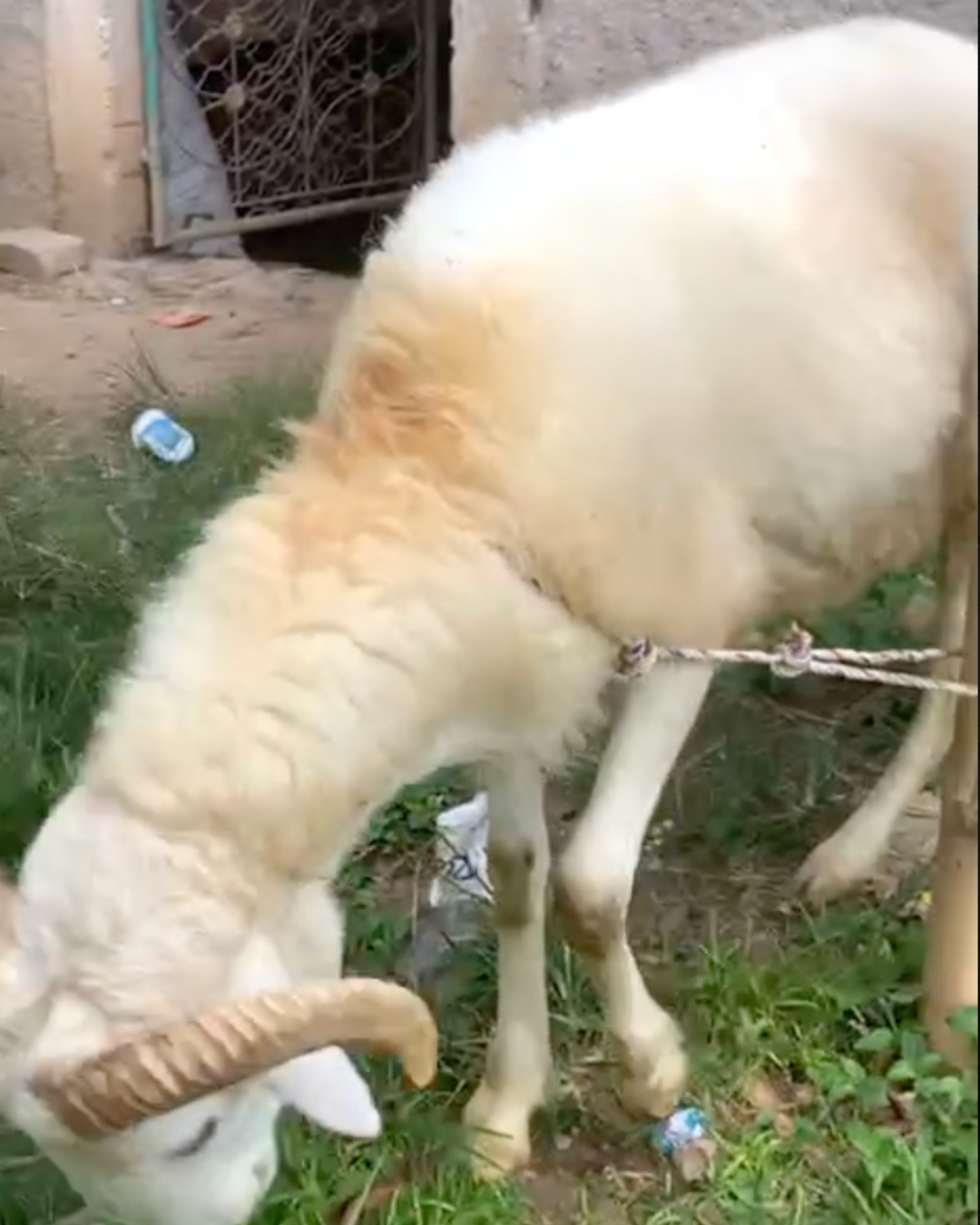 Photo Samping Kiri Cakep