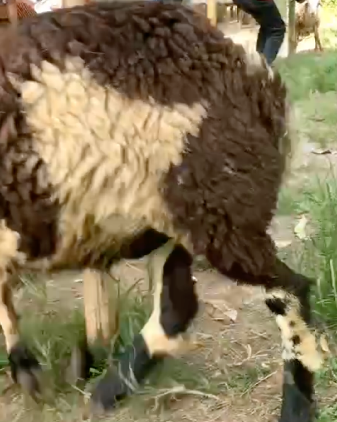 Photo Belakang Bagus