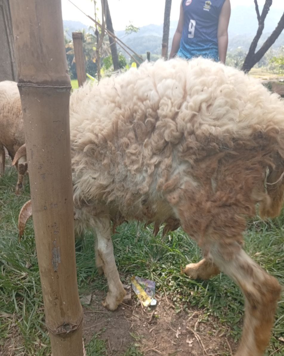 Photo Samping Kiri Galing