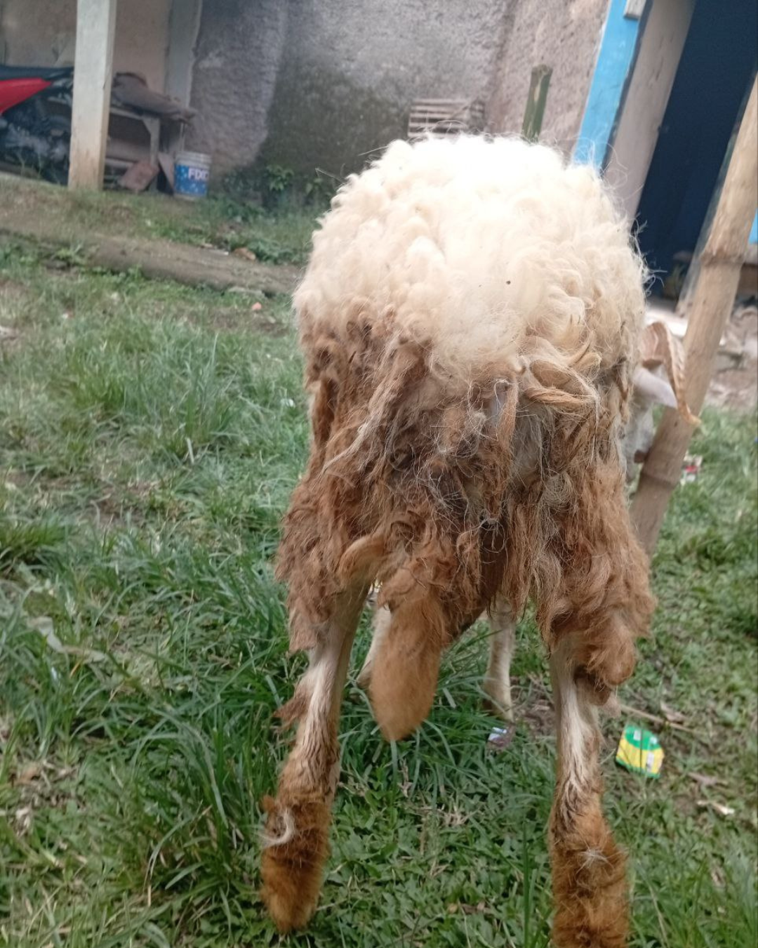 Photo Belakang Galing