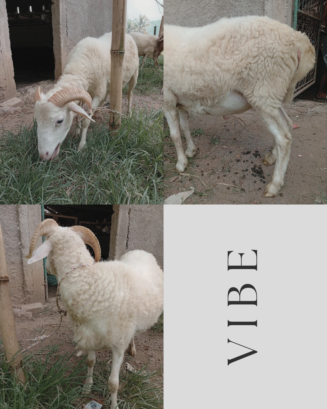 Photo Samping Kanan Berkah