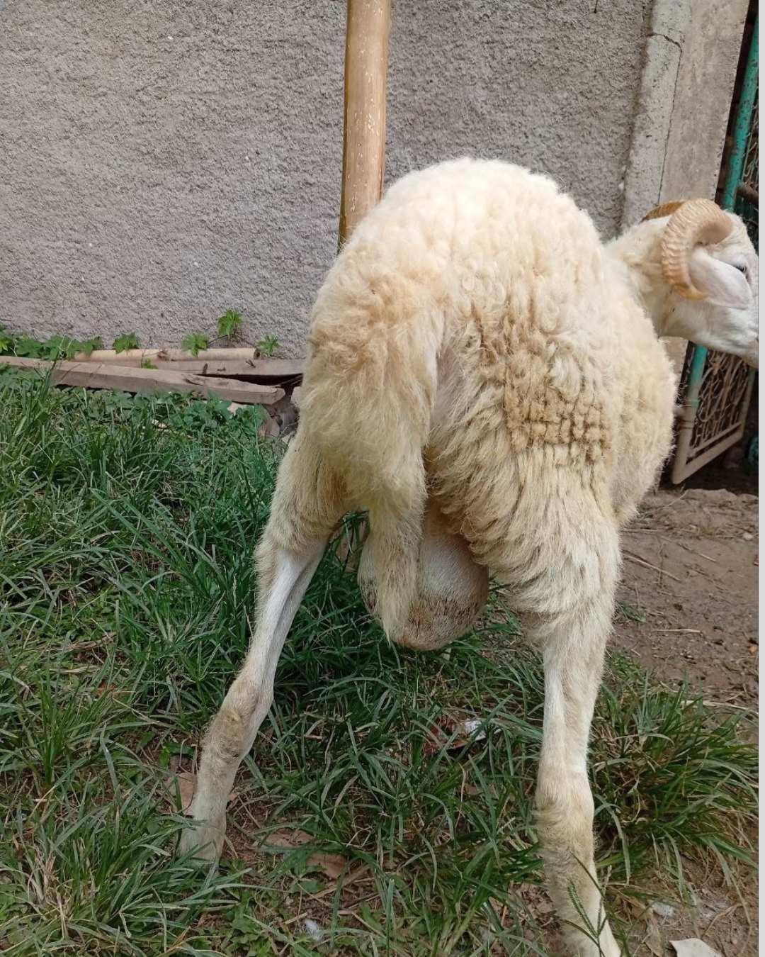 Photo Belakang Berkah